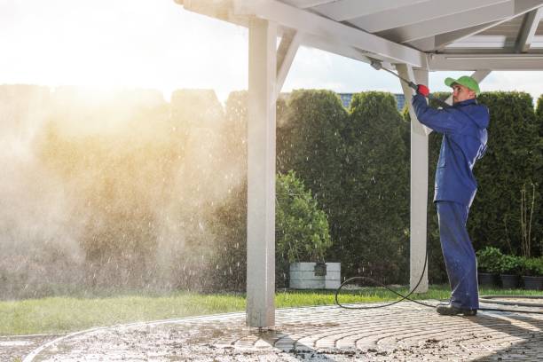 Best House Exterior Washing  in Genoa, AR